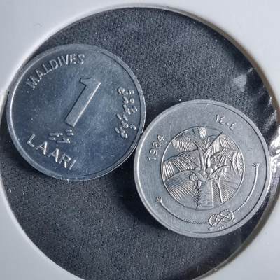 沼泽如烟--第985场 - 马尔代夫两枚