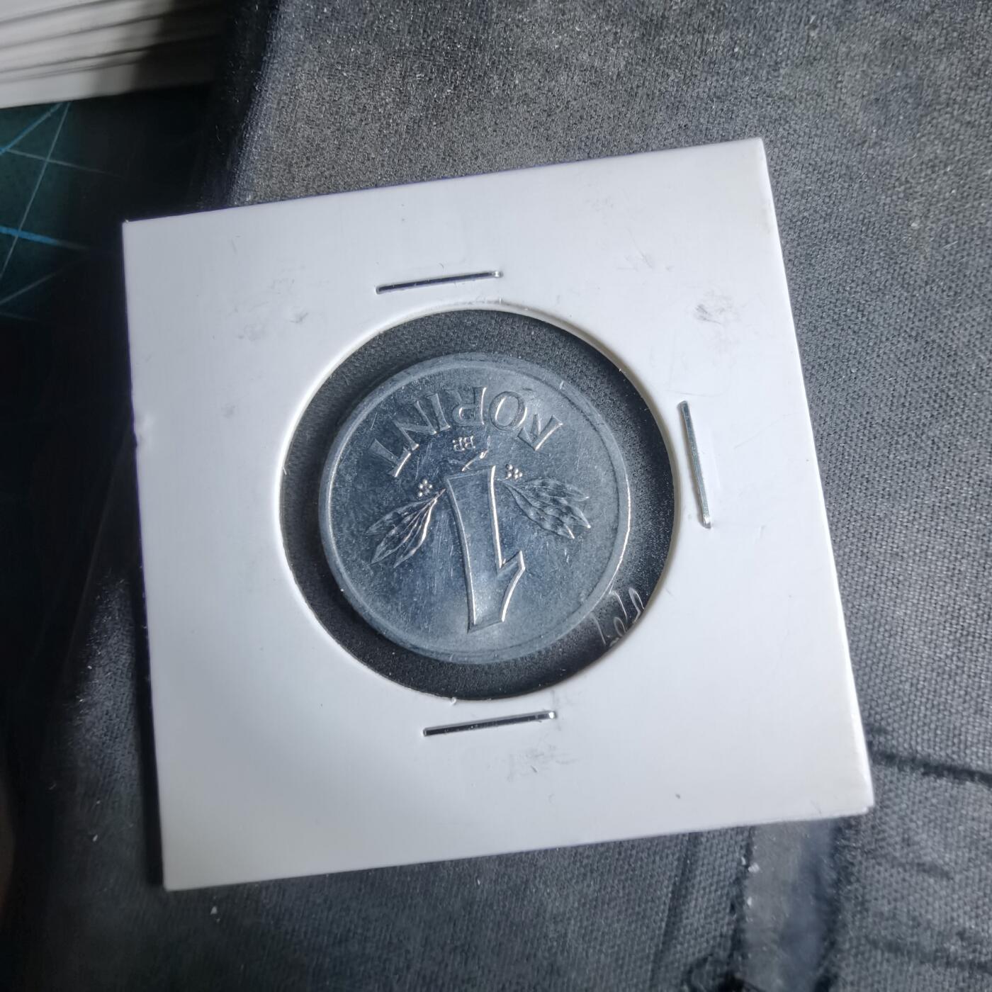 沼泽如烟--第985场