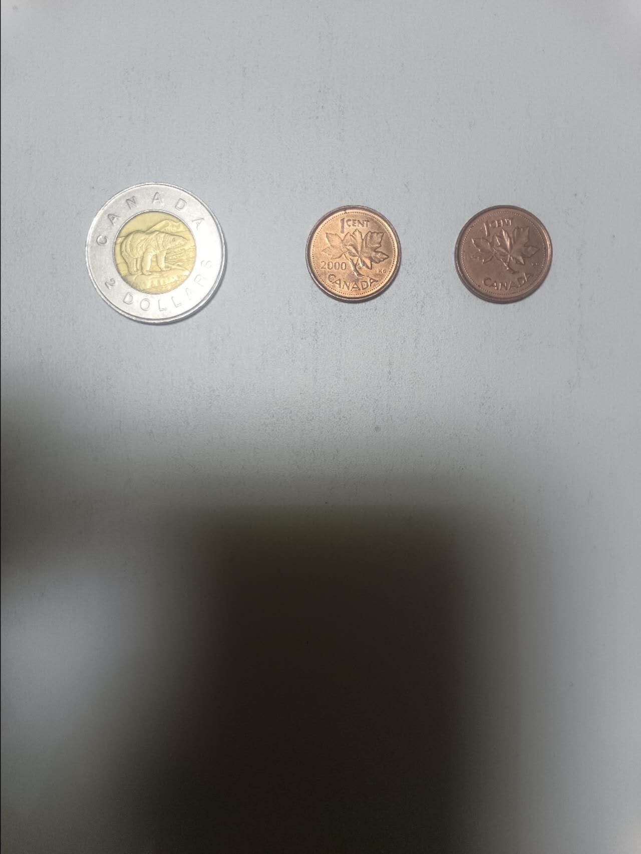 【20260206】非全新纸币和硬币第332场 加拿大2.02加元