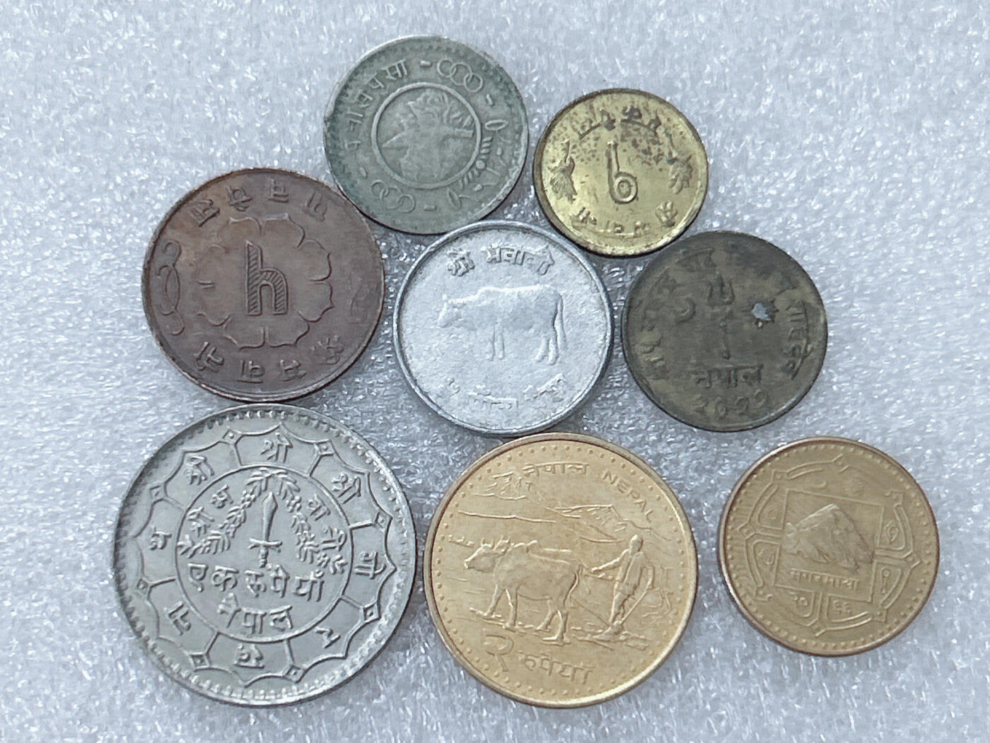 第一海外回流一元起拍收藏 散集专场  第299期 尼泊尔不同面值硬币 8枚