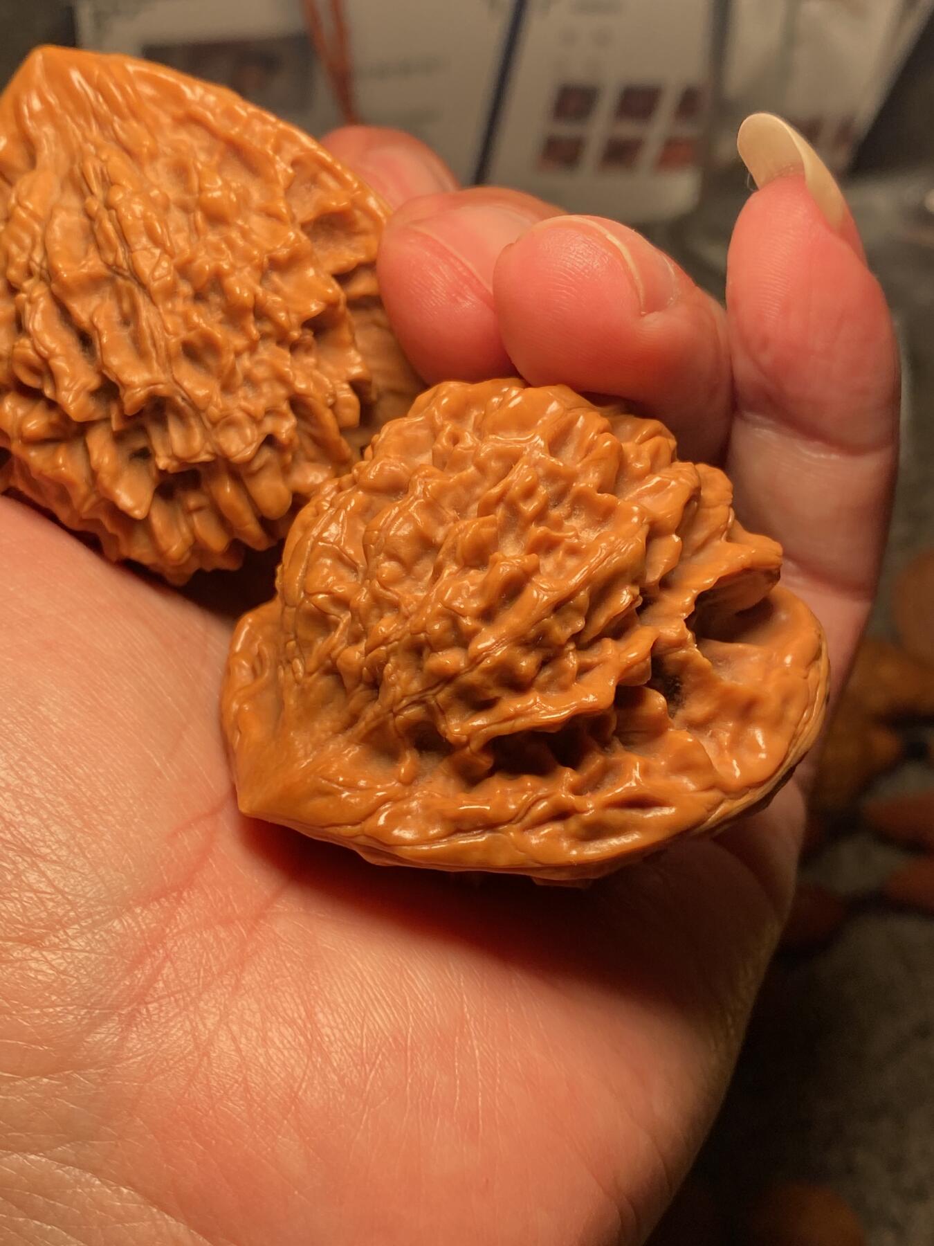 核舟记发源地苏州舟山核雕年末放漏