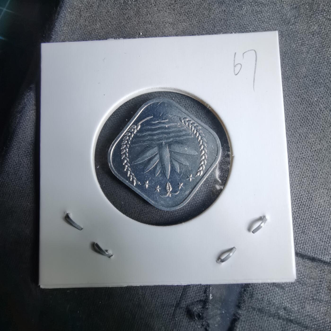 沼泽如烟--第985场