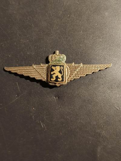 老王徽章第180期 - 比利时皇家空军军官飞行员帽徽