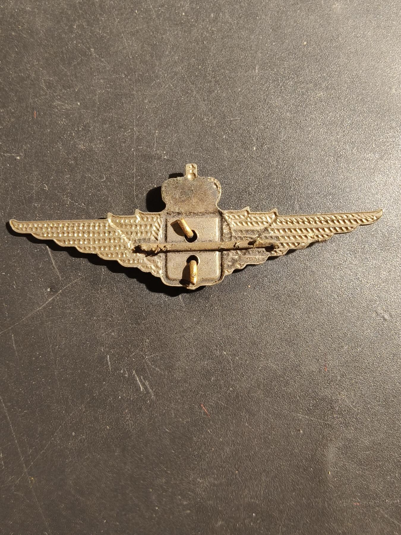 老王徽章第180期 比利时皇家空军军官飞行员帽徽