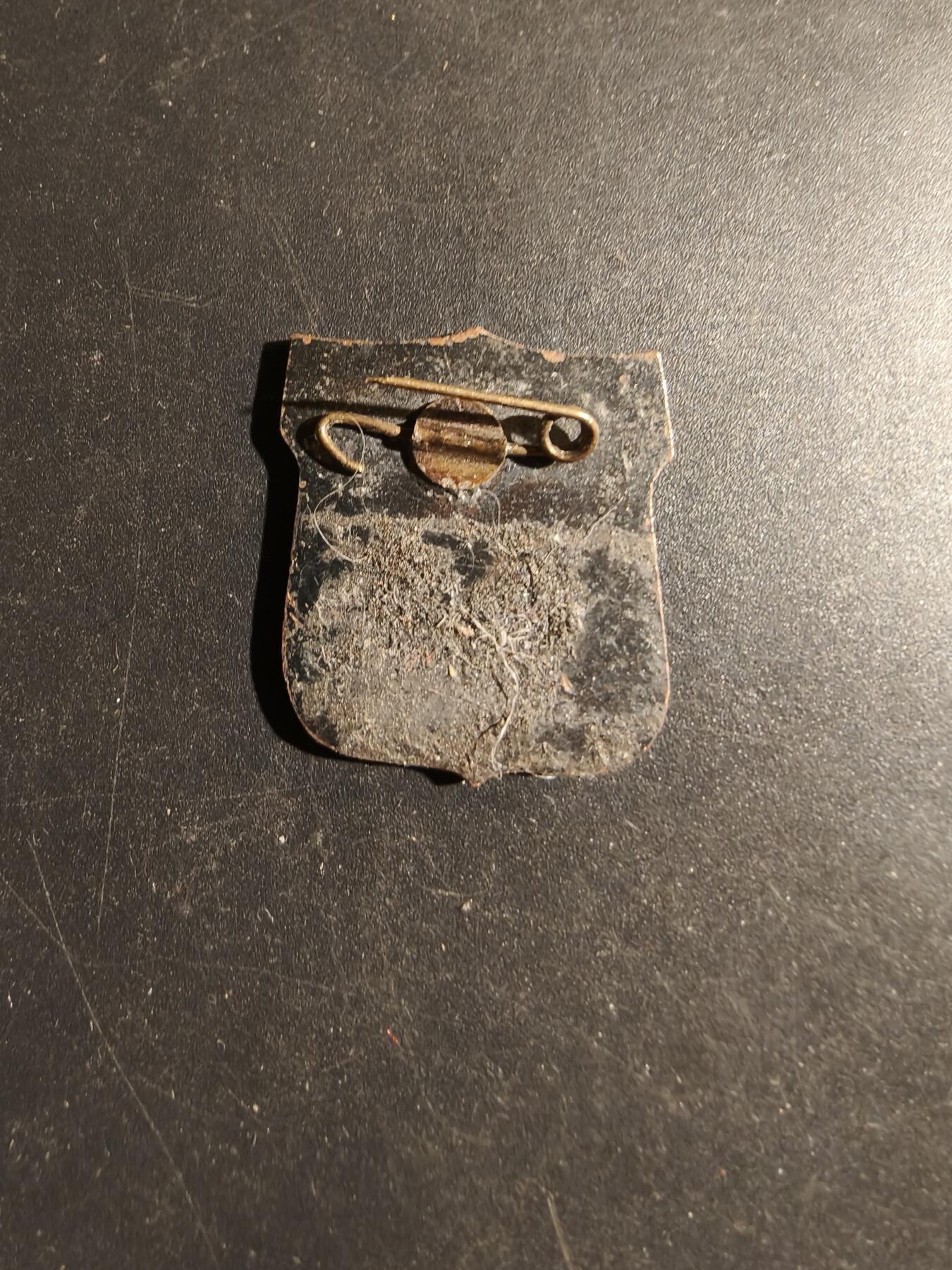 老王徽章第180期 立陶宛里加市徽章