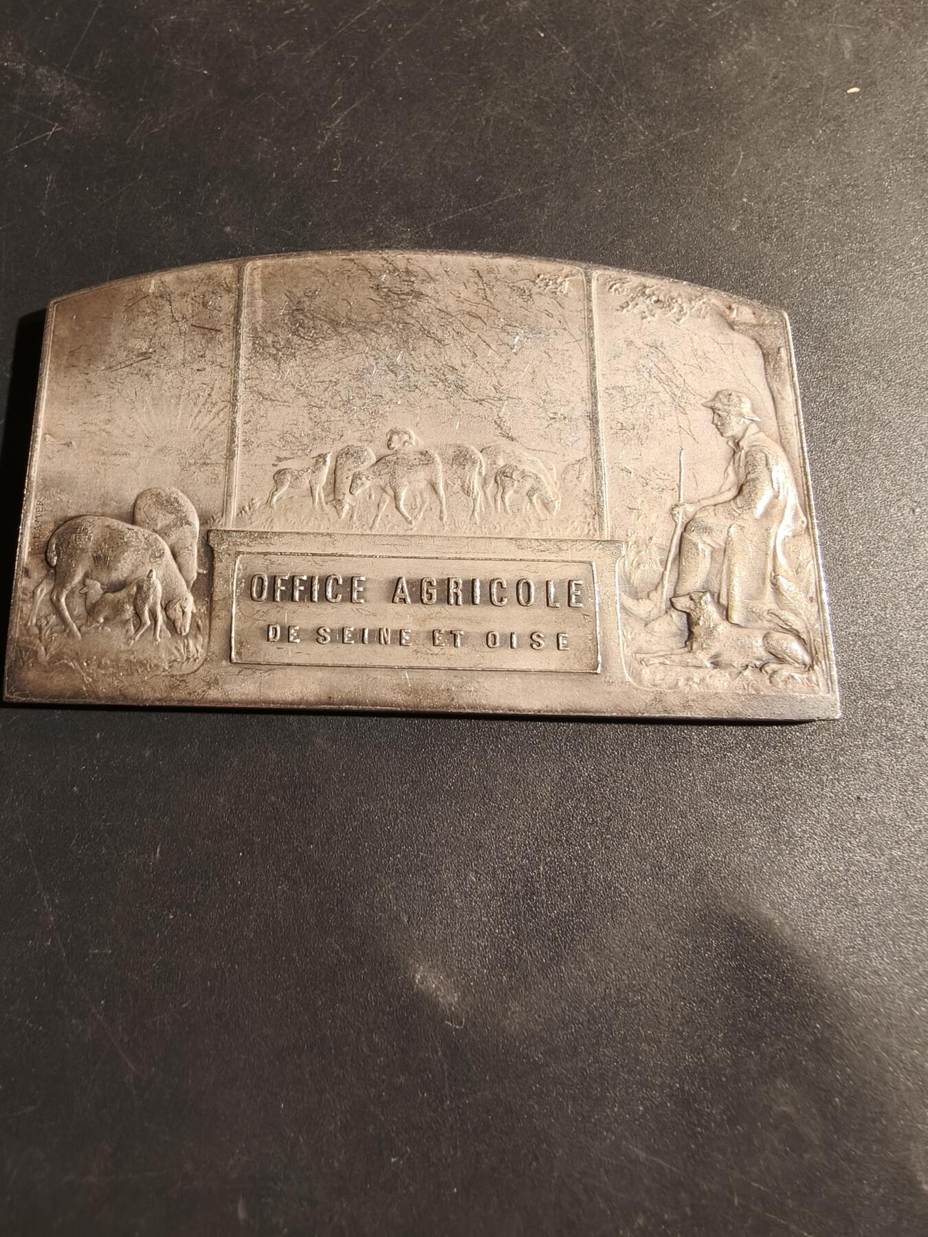 老王徽章第180期 法国塞纳瓦兹省农业办公室方形镀银大铜章    带盒子     尺寸80×50mm     重量111.2g