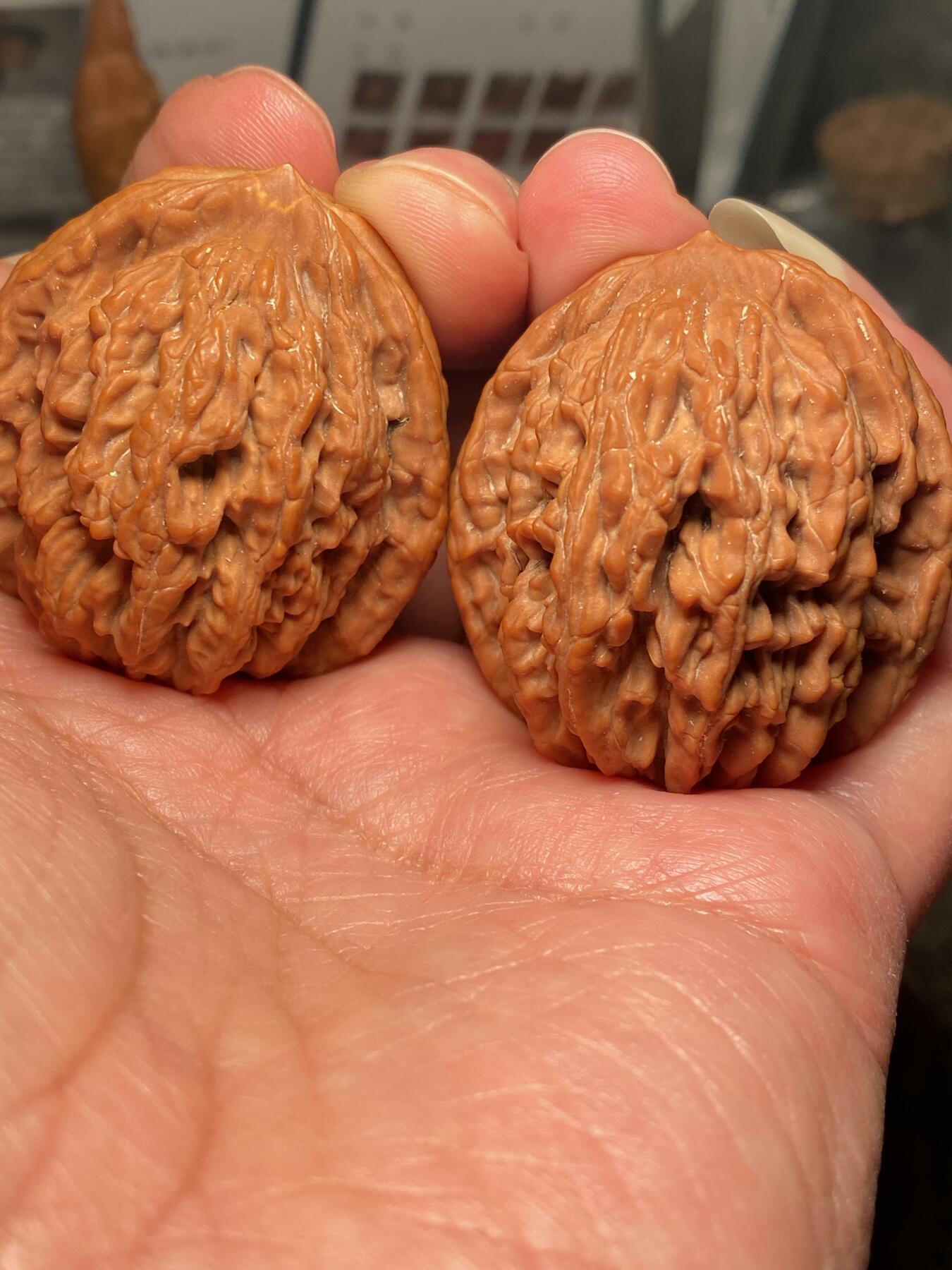 核舟记发源地苏州舟山核雕年末放漏