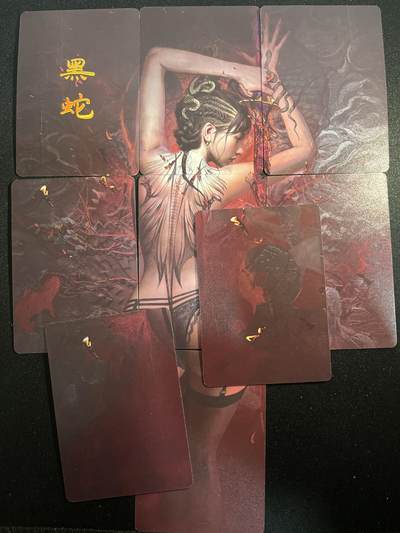 欢迎送拍、零成本上架，释放现金流，合理分配上拍卡品 - 【九拼、普卡、折光、幻彩、幻彩折光】st刷子 黑蛇（17张）焱卡文化&妖姬传