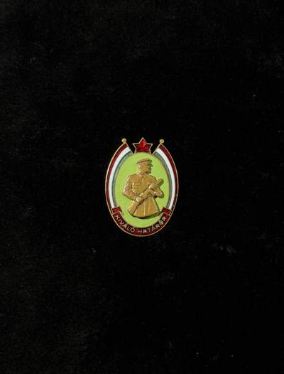 欢庆春节！戎马世界章牌大赏第111期春节大拍 - 匈牙利边防军证章