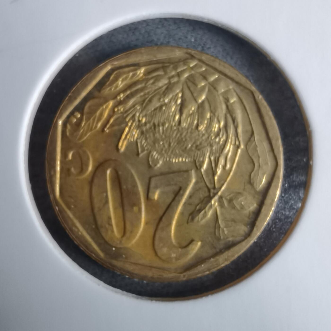 沼泽如烟--第985场 南非2012年20分