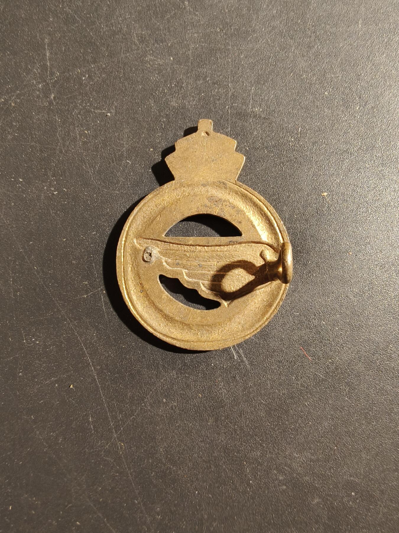 老王徽章第180期 比利时皇家陆军服务军团贝雷帽徽