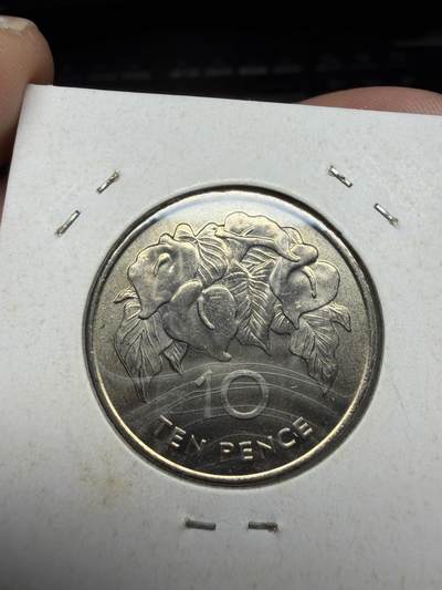 2025年集古藏今外币拍卖第二期-第4场—（总第304拍），可以寄存60天，满160元包邮。 - 1984年圣赫勒拿和阿森松10便士