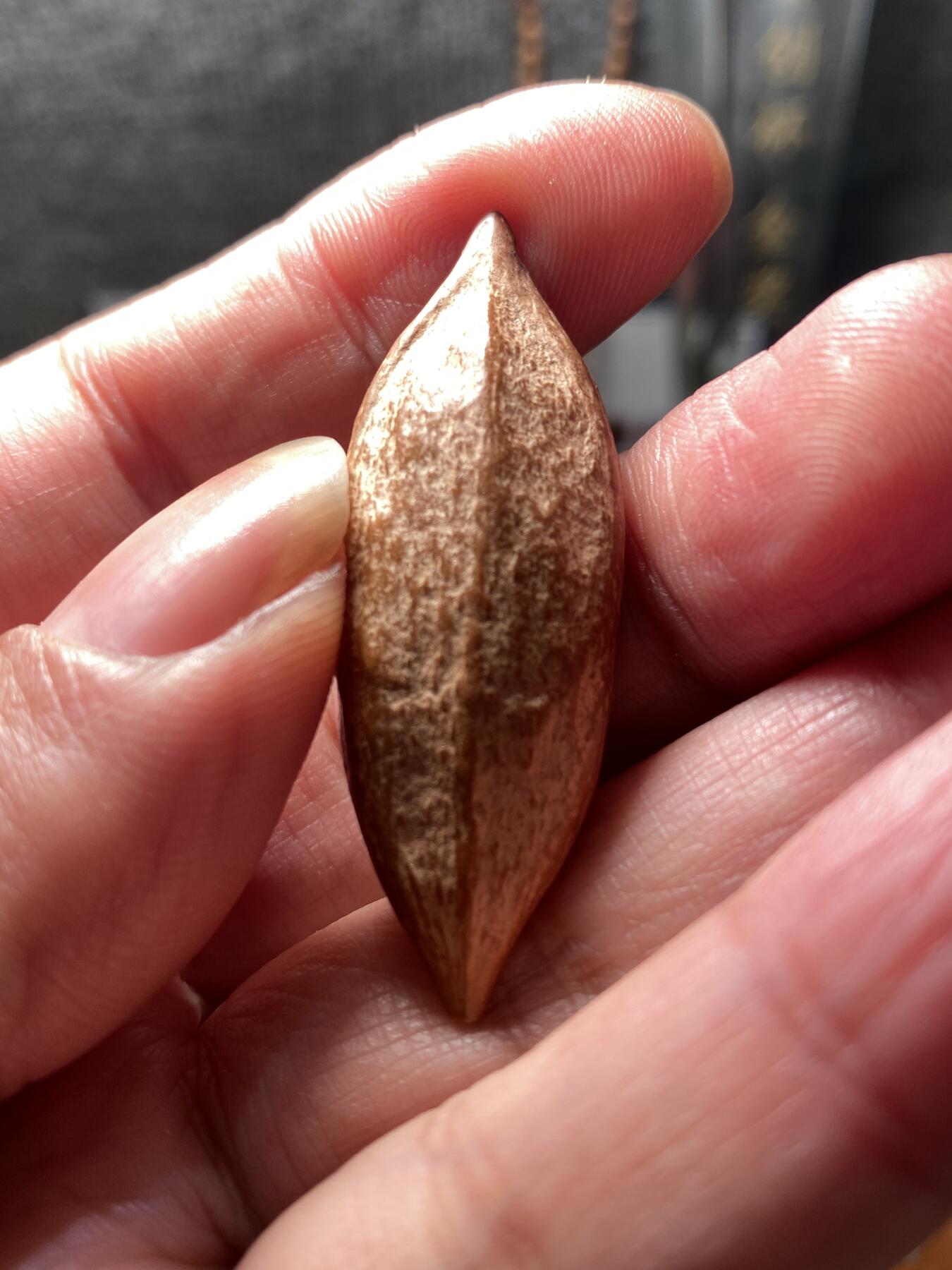 核舟记发源地苏州舟山核雕年末放漏 福利苏工核雕，纯手工雕刻二花钟馗，个性十足，等待有缘人，市场无同款，尺寸1。7x4.9喜欢的来