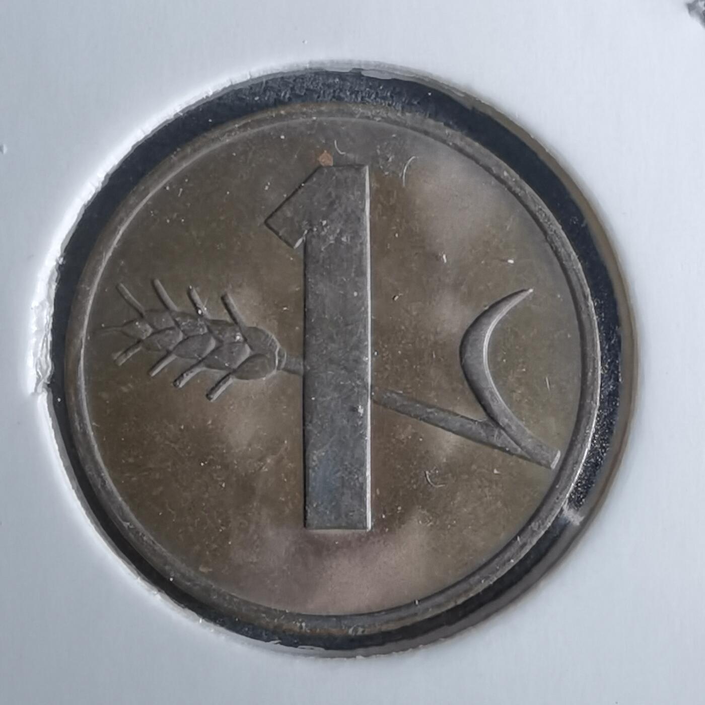 沼泽如烟--第985场