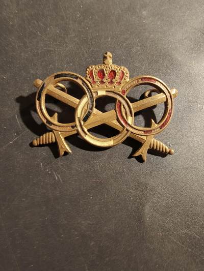 老王徽章第180期 - 比利时陆军铜级军事体能证章