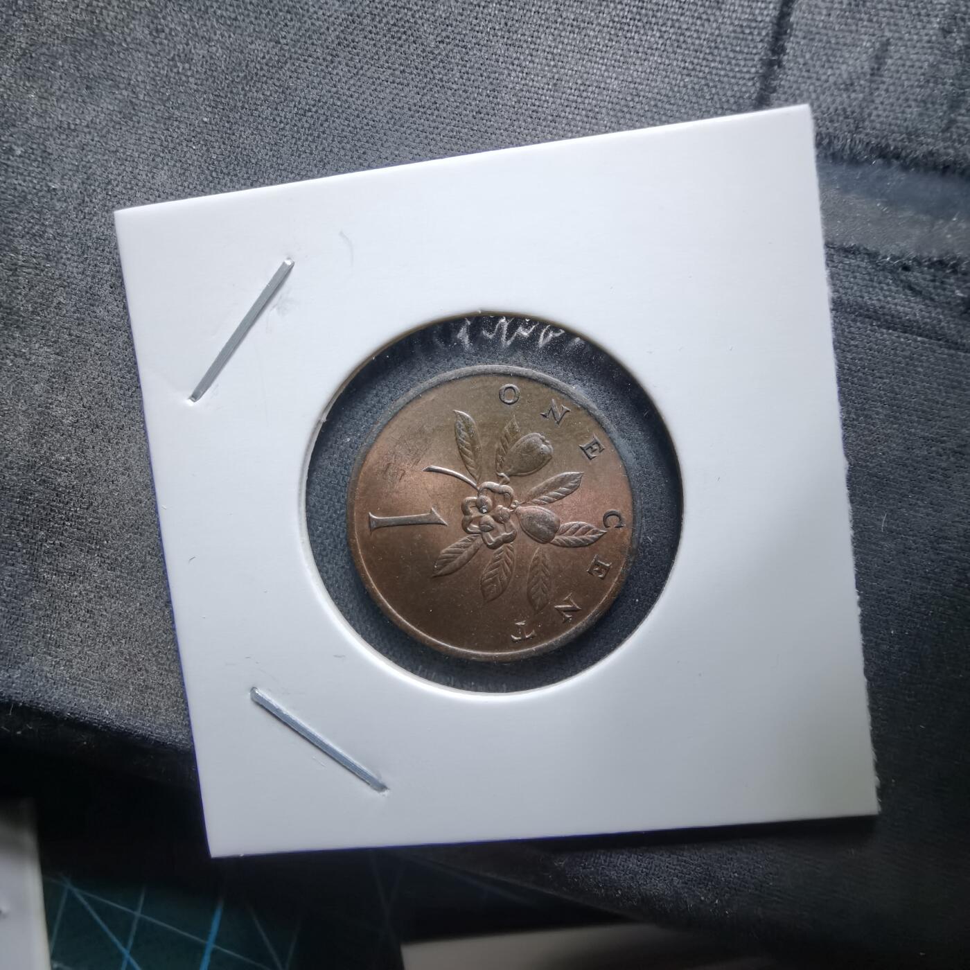 沼泽如烟--第985场