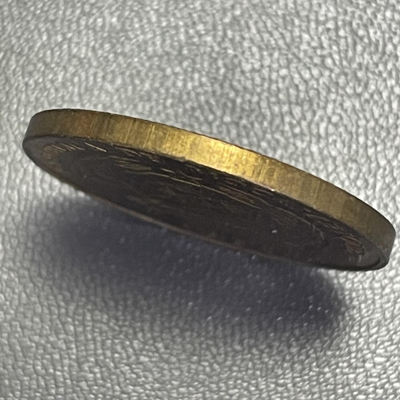 回流0207 莫桑比克1994年20梅蒂卡尔铜币 腰果