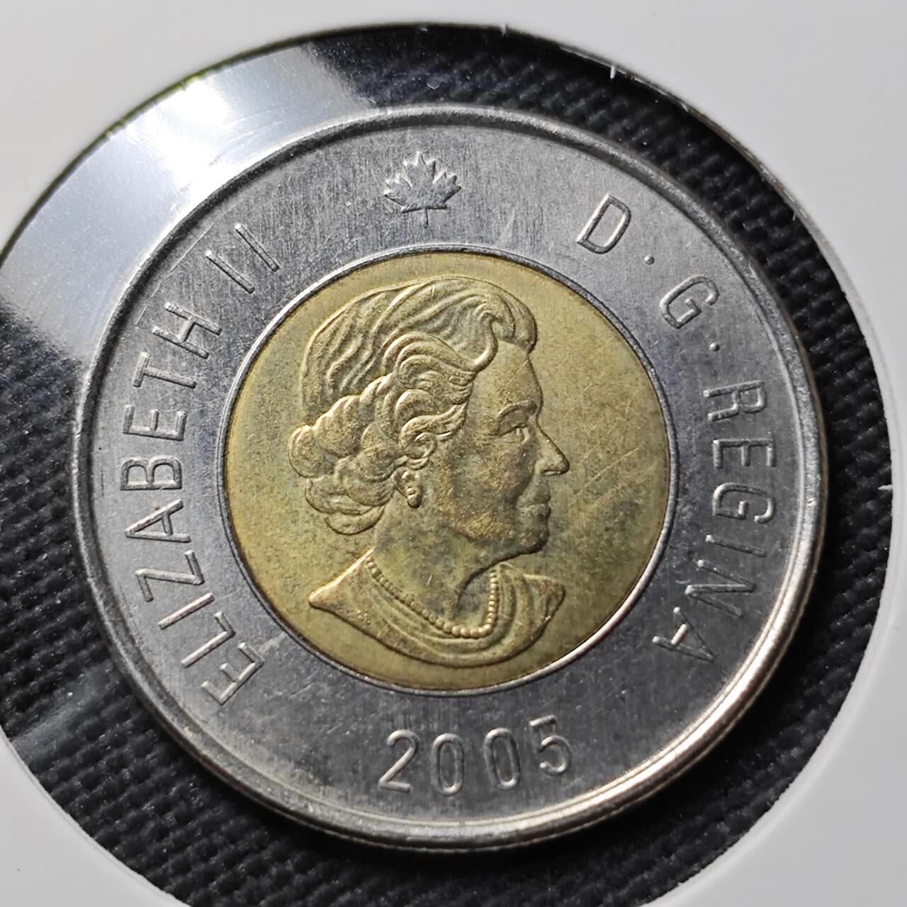 KK钱币收藏小铺  第393期  2月预留时间 周末发货  2005加拿大2元