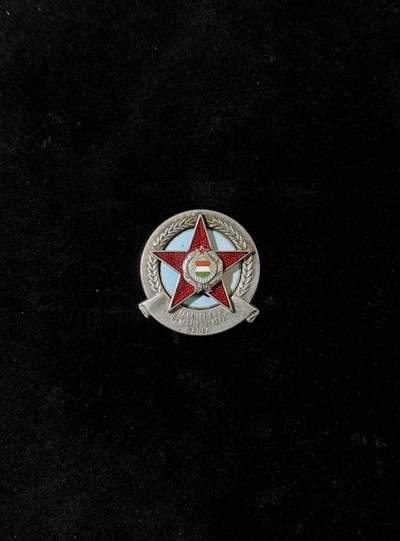 欢庆春节！戎马世界章牌大赏第111期春节大拍 - 匈牙利证章