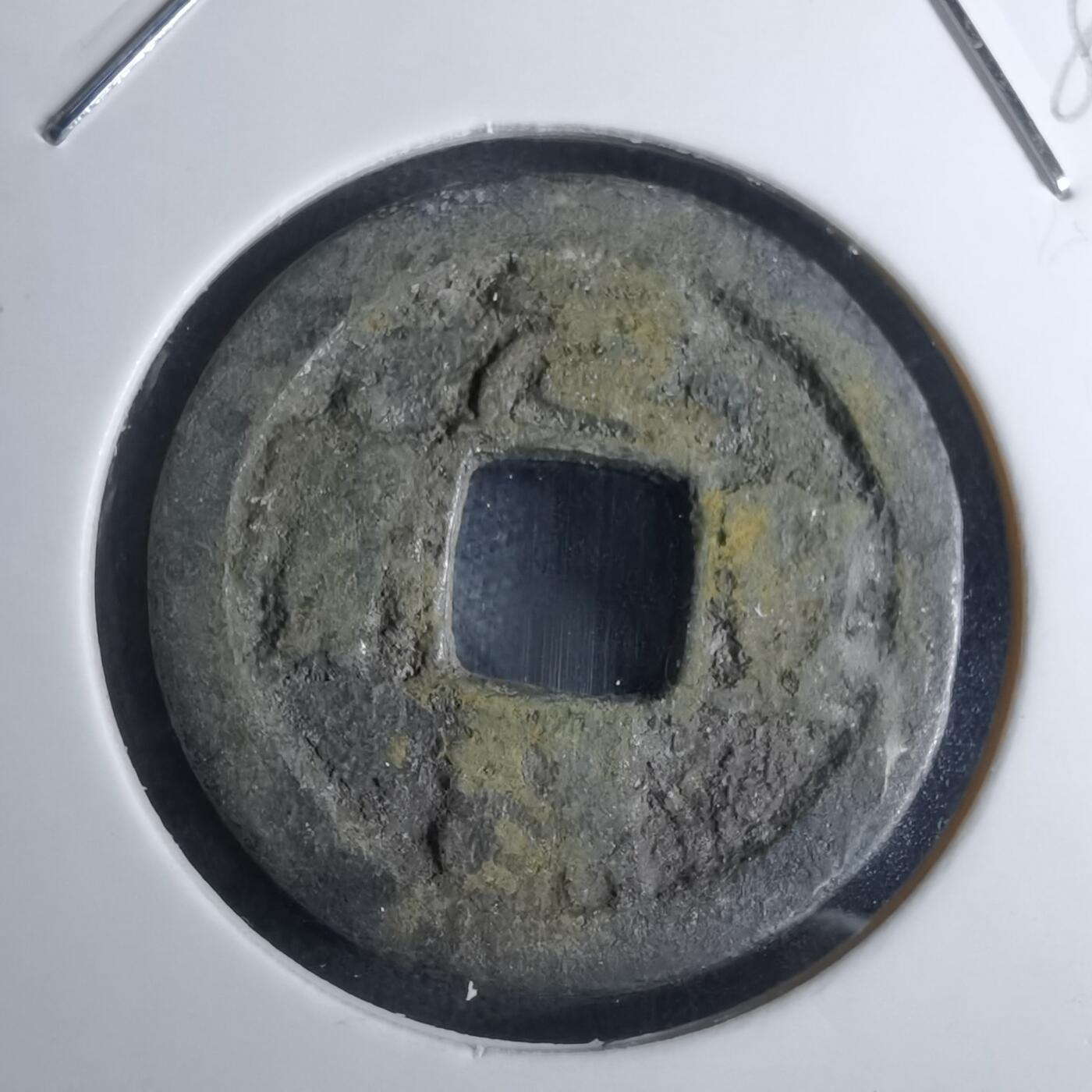 沼泽如烟--第985场