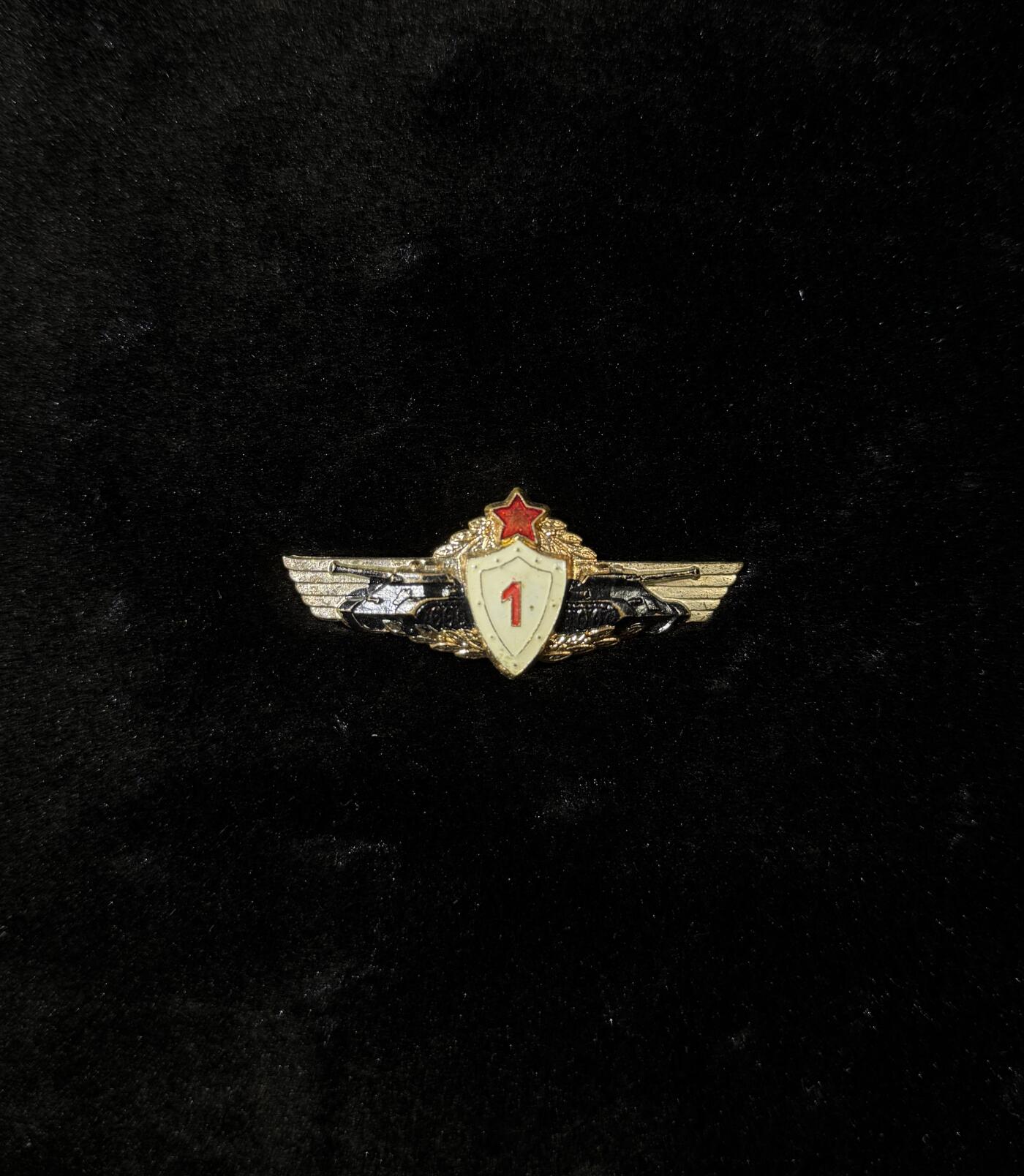 欢庆春节！戎马世界章牌大赏第111期春节大拍 匈牙利坦克兵一级技能证章，铜制