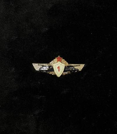 欢庆春节！戎马世界章牌大赏第111期春节大拍 - 匈牙利坦克兵一级技能证章，铜制