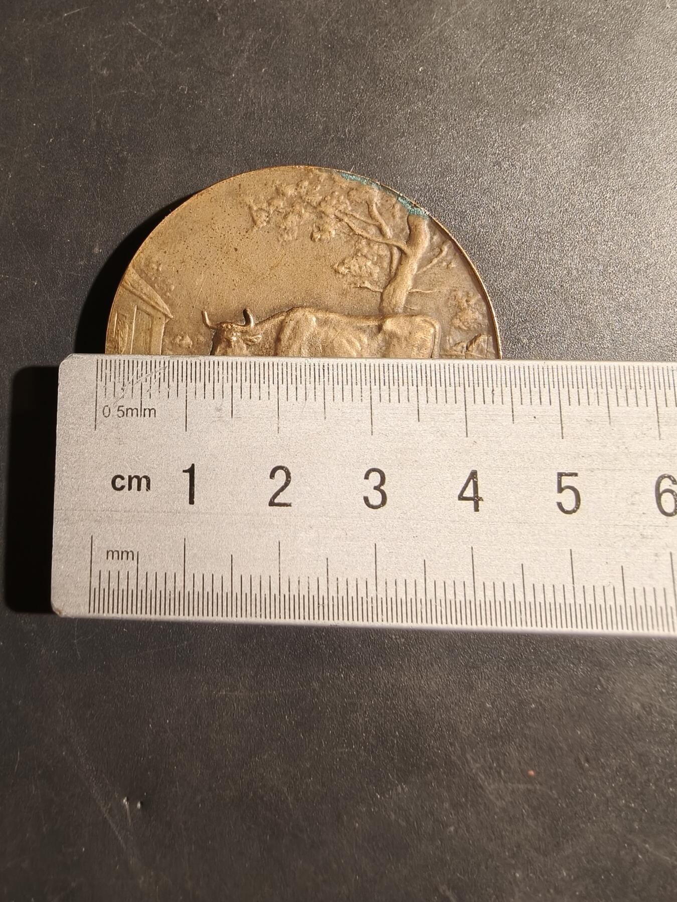 老王徽章第180期 法国畜牧业协会大铜章    大师Dropsy作品    直径44mm    重量44.4g