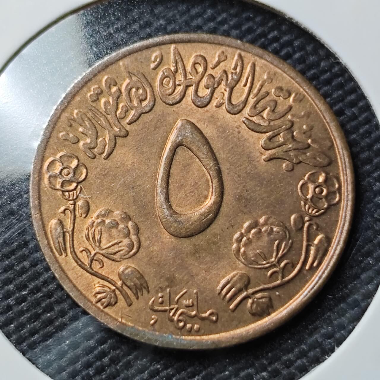 KK钱币收藏小铺  第393期  2月预留时间 周末发货  苏丹5米利姆铜币 好品