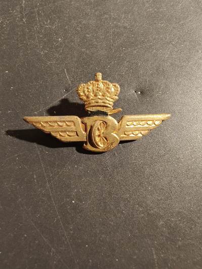 老王徽章第180期 - 比利时皇家铁路兵贝雷帽徽