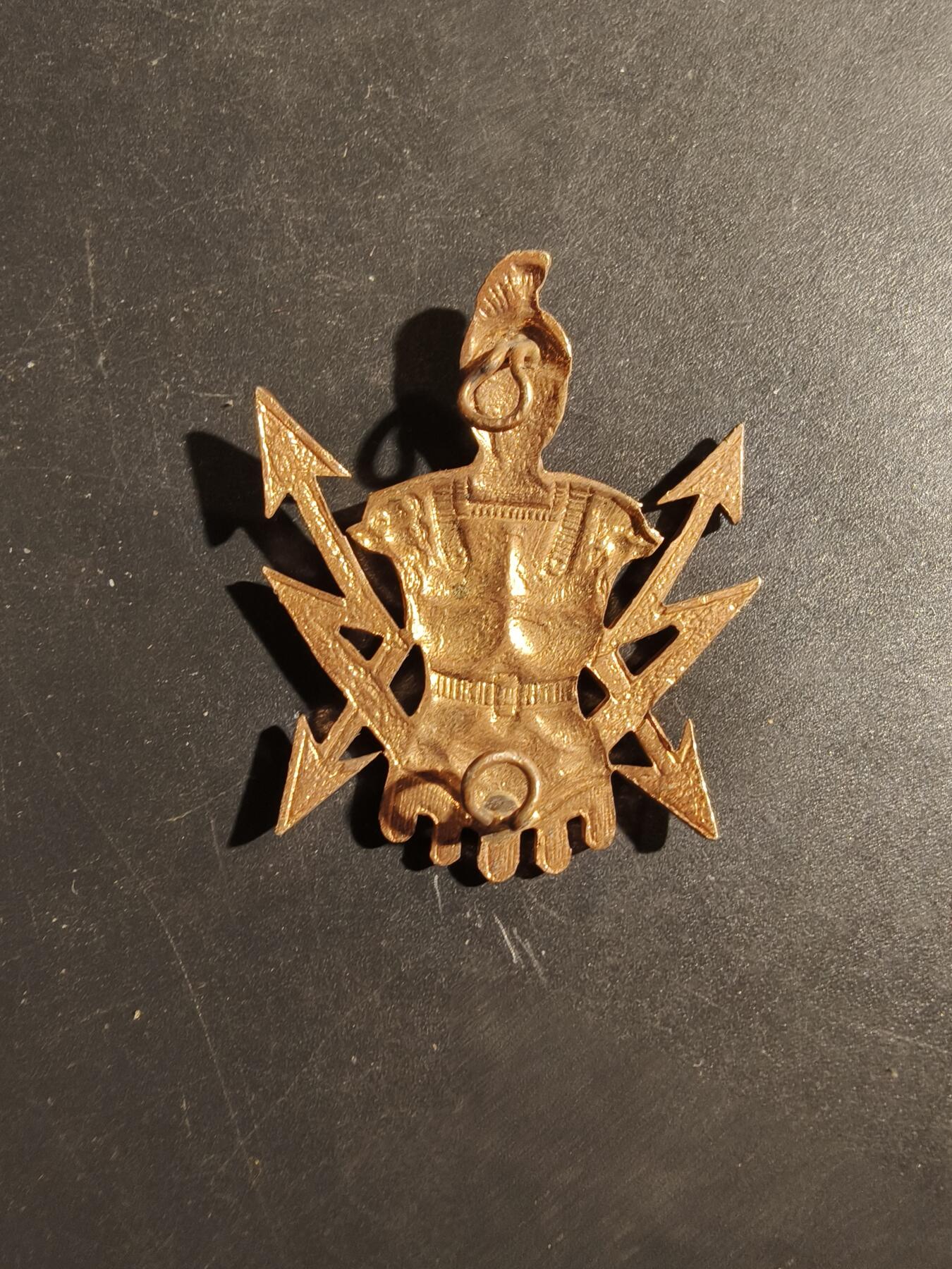 老王徽章第180期 比利时陆军通信兵贝雷帽徽