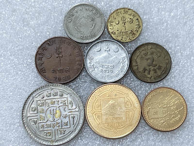 第一海外回流一元起拍收藏 散集专场  第299期 - 尼泊尔不同面值硬币 8枚