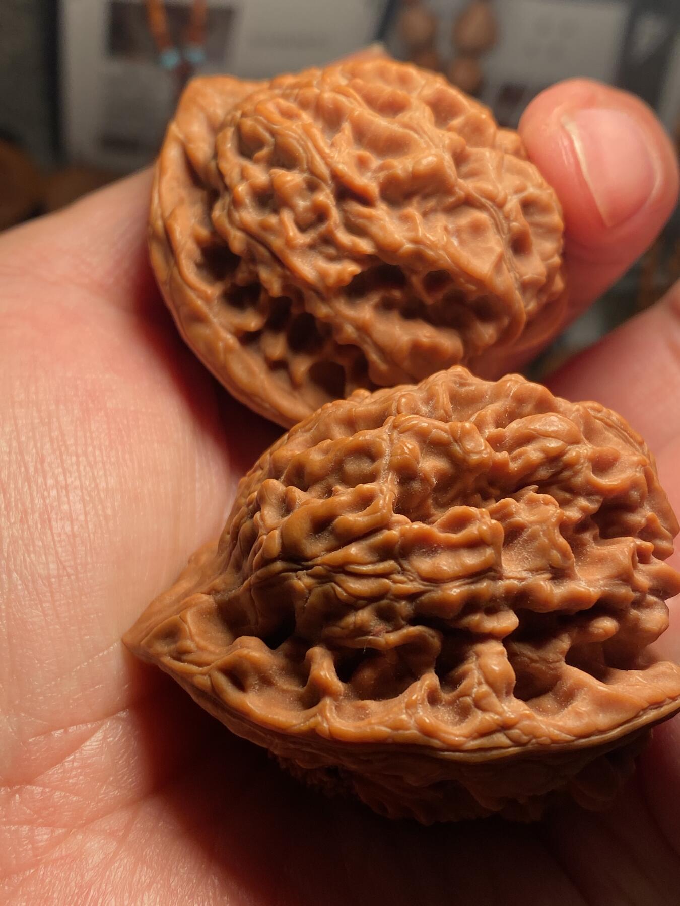 核舟记发源地苏州舟山核雕年末放漏 福利苏工核雕，纯手工雕刻,核桃一念之间，个性十足，等待有缘人，市场无同款，尺寸4。6喜欢的来