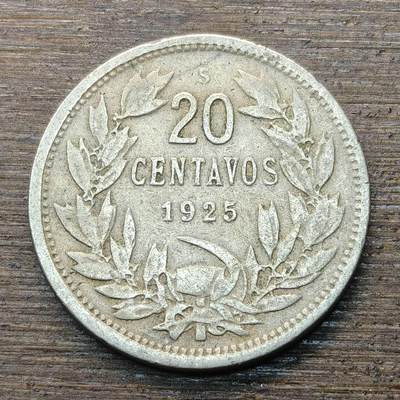 【铜匠收藏】★第146★散币专场 不寄存，30包邮。不满30元，支付5元运费。《接受代拍 代送NGC评级》 - 39【无寄存】智利 1925年 安第斯鹫 20分