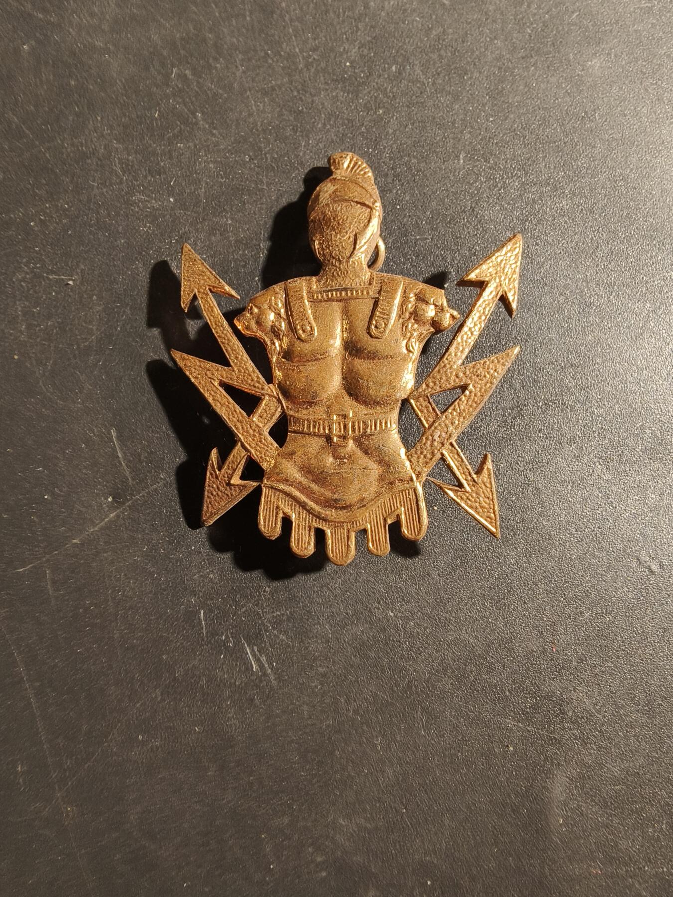 老王徽章第180期 比利时陆军通信兵贝雷帽徽