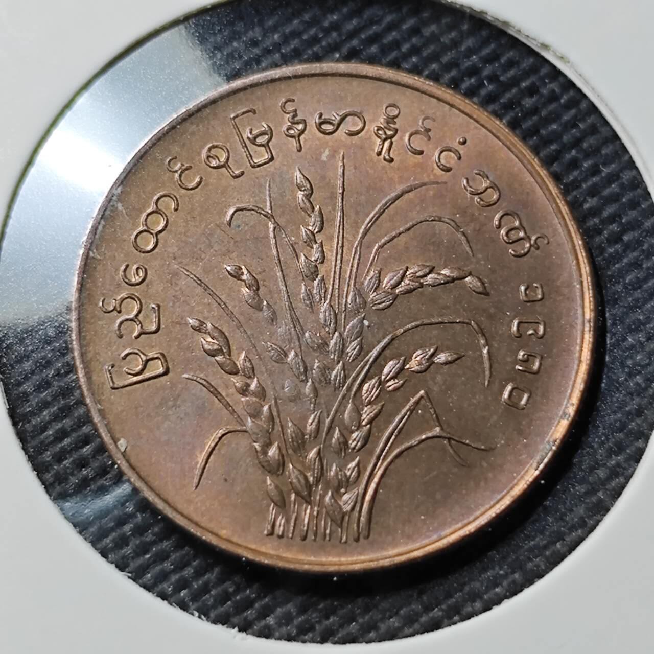 KK钱币收藏小铺  第393期  2月预留时间 周末发货  缅甸水稻