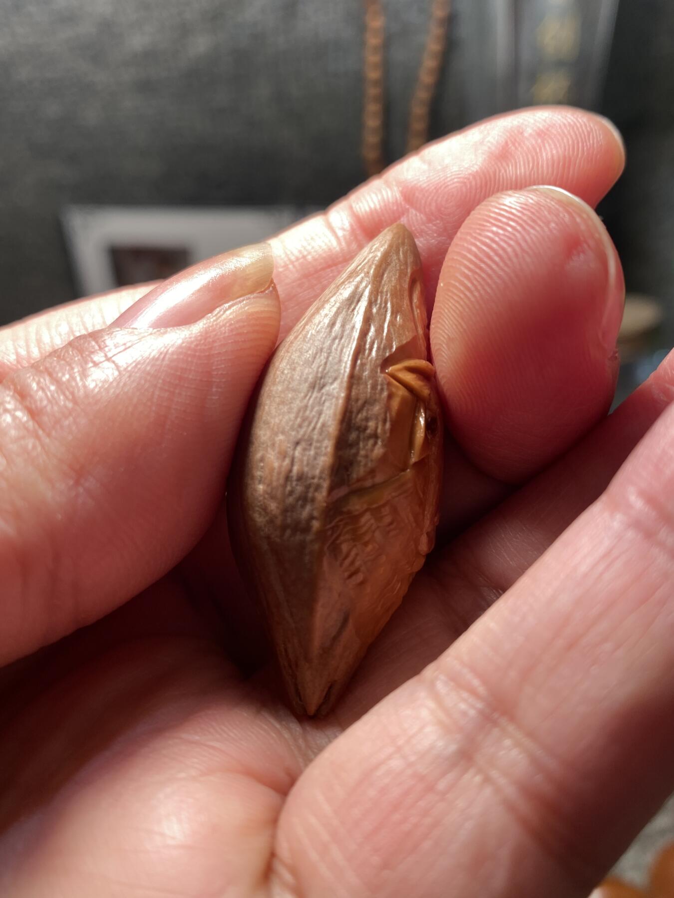 核舟记发源地苏州舟山核雕年末放漏 福利苏工核雕，纯手工雕刻,喜气洋洋，个性十足，等待有缘人，市场无同款，尺寸2。1x4.6喜欢的来