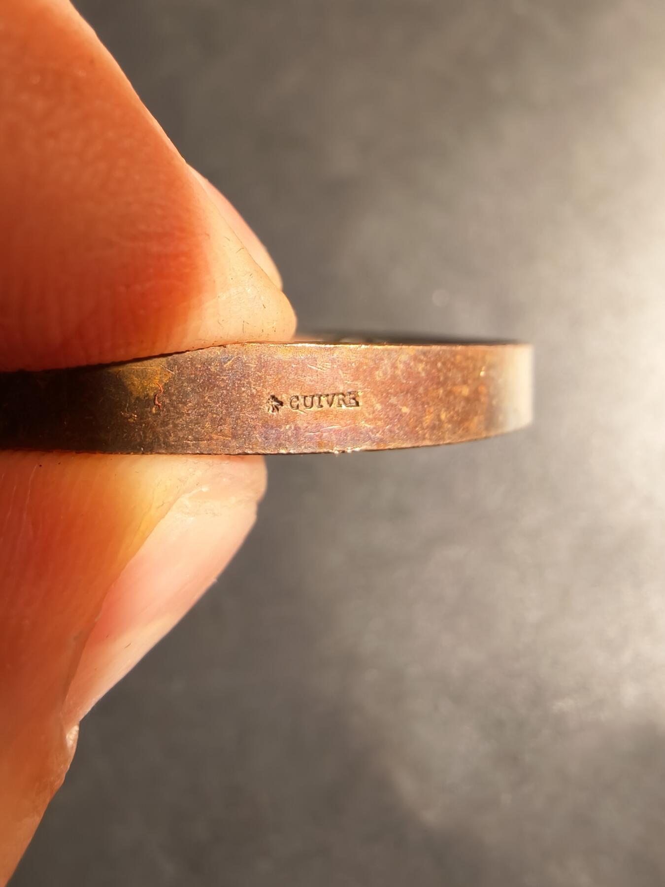 老王徽章第180期 法国科学促进协会1874年里尔会议大铜章     原盒     蜜蜂Cuivre铜标     直径60mm     .重量97.8g