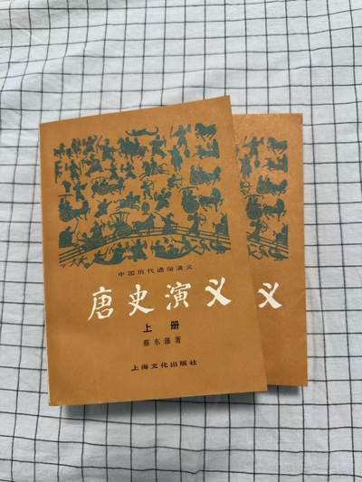 旧平装书捡漏专场第一场 - 唐史演义上下册