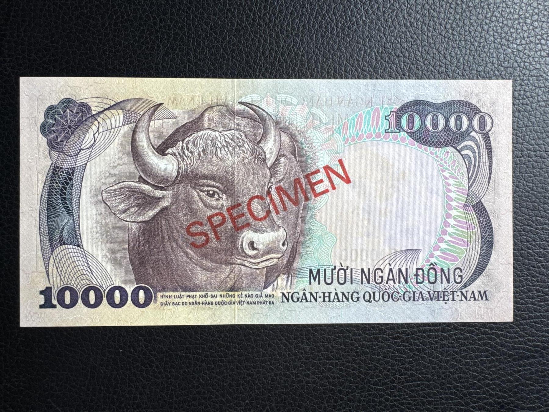 桂P钱币文化工作室拍卖第四十六期，岁末年初专场 南越共和国1975年版10000盾票样，UNC，罕见品种，有黄斑