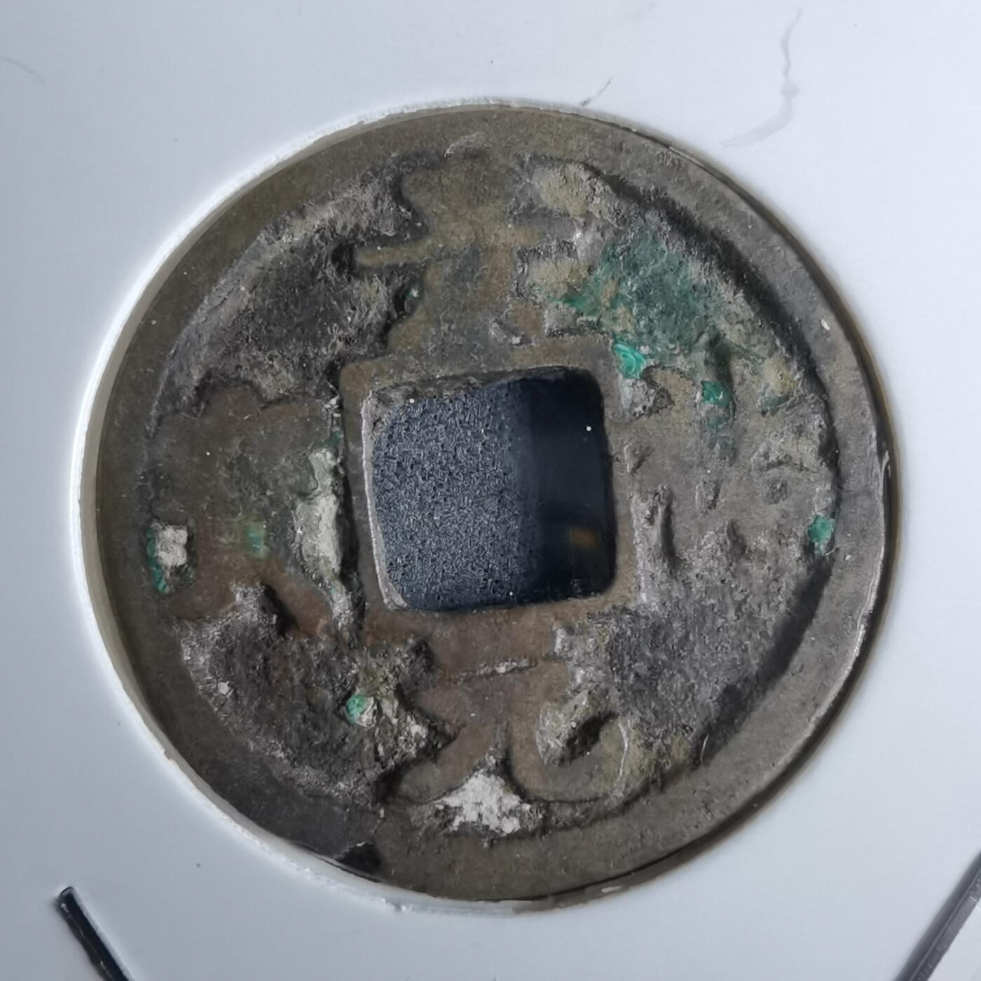 沼泽如烟--第985场