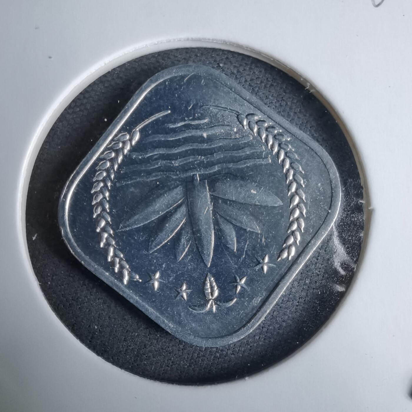 沼泽如烟--第985场