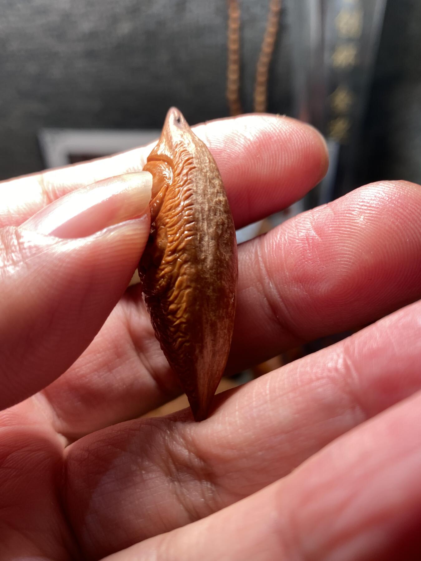 核舟记发源地苏州舟山核雕年末放漏 福利苏工核雕，纯手工雕刻二花钟馗，个性十足，等待有缘人，市场无同款，尺寸1。7x4.9喜欢的来