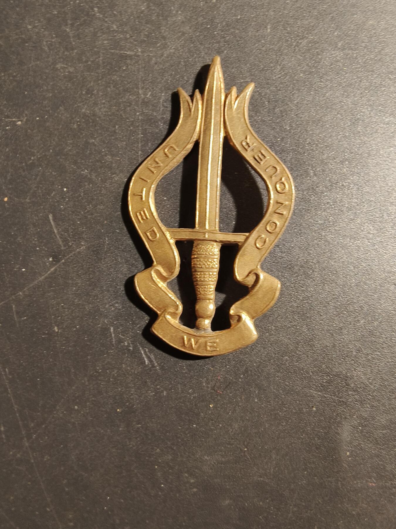 老王徽章第180期 比利时第2伞兵突击营贝雷帽徽