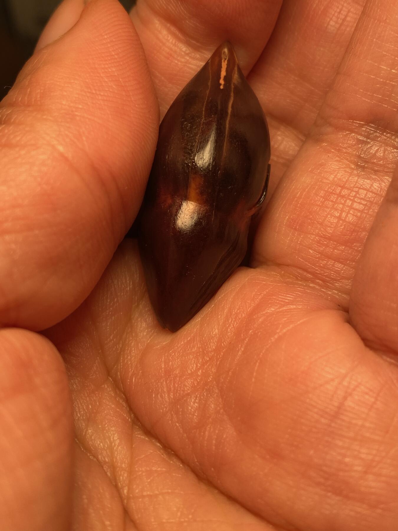 核舟记发源地苏州舟山核雕年末放漏