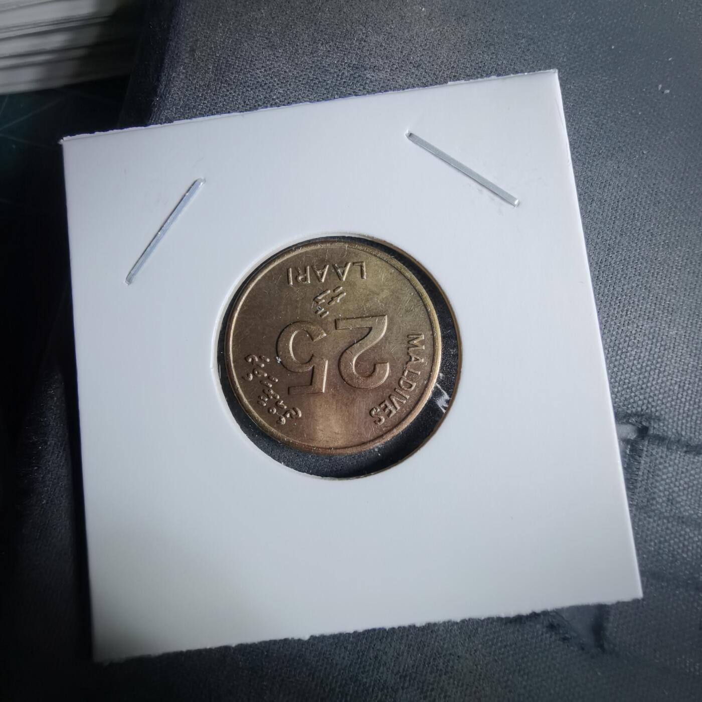 沼泽如烟--第985场 马尔代夫1996年25拉雷