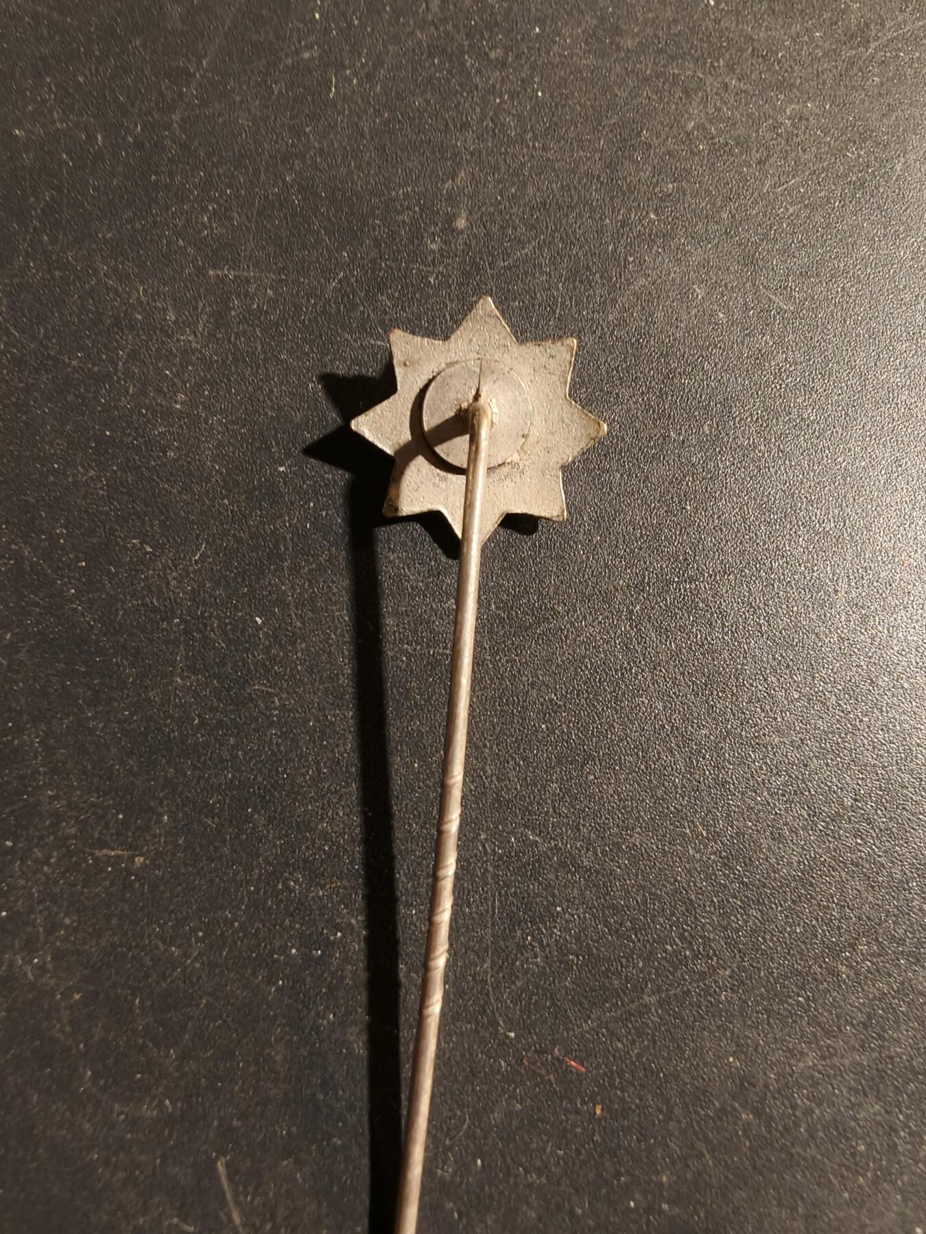 老王徽章第180期 德国黑鹰勋章针插