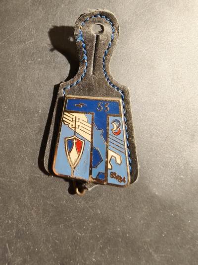 老王徽章第180期 - 法国陆军第53通信团证章