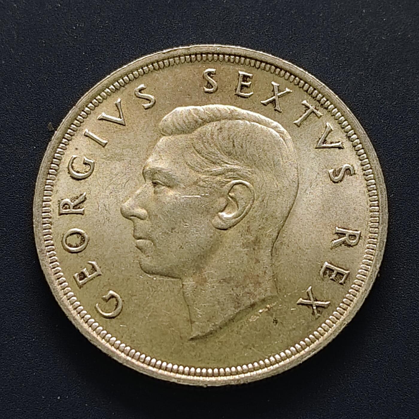 【全场包邮】纯粹捡漏拍501场-持续更新中 南非C