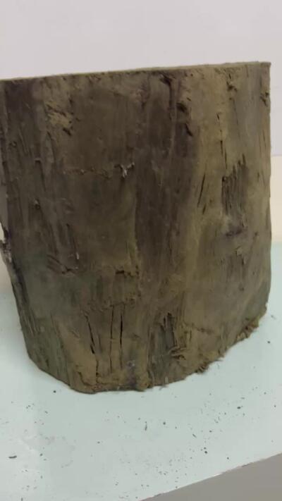 零元拍：满金丝祖母绿级别 阴沉木 金丝楠墩子老料 做凳子 做茶台  满肉满金丝 果香满满 尺寸：23.5/22/23CM。8.5公斤。