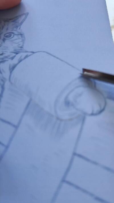 套色版画-萌宠专场